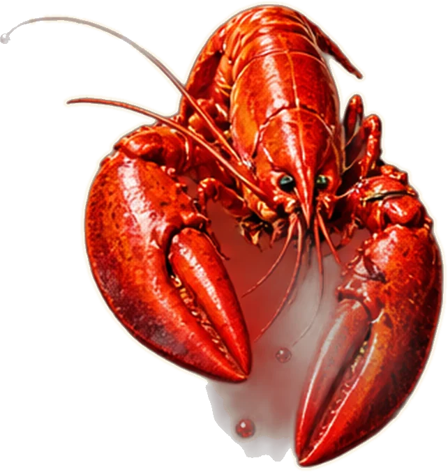 Langosta